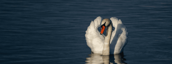 Miterzieherin/Miterzieher, 80 - 100 %, 1. Bild